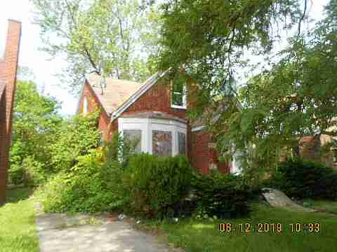 18961 Joann (4)_m.jpg